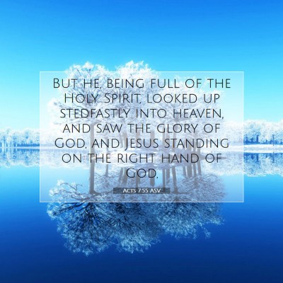Picture 07 - Acts 7:55 ASV - But he, being full of the Holy Spirit, looked up - Bible Verse Picture