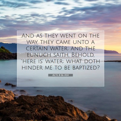 Picture 07 - Acts 8:36 ASV - And as they went on the way, they came unto a - Bible Verse Picture