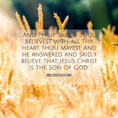 Picture 07 - Acts 8:37 ASV - `And Philip said, If thou believest with all thy - Bible Verse Picture