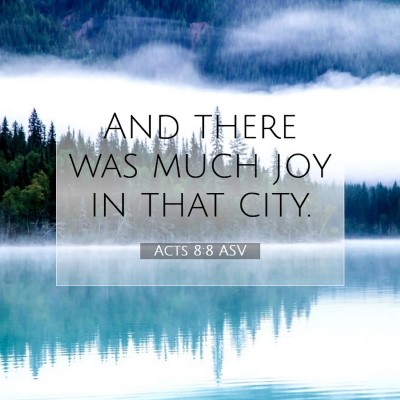 Picture 07 - Acts 8:8 ASV - And there was much joy in that - Bible Verse Picture