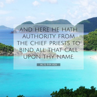 Picture 07 - Acts 9:14 ASV - and here he hath authority from the chief priests - Bible Verse Picture
