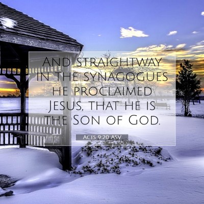Picture 07 - Acts 9:20 ASV - And straightway in the synagogues he proclaimed - Bible Verse Picture