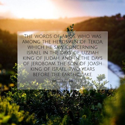 Picture 07 - Amos 1:1 ASV - The words of Amos, who was among the herdsmen of - Bible Verse Picture