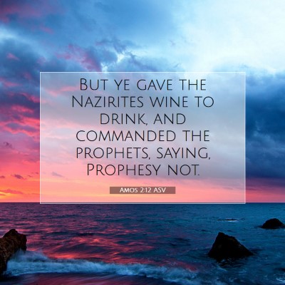 Picture 07 - Amos 2:12 ASV - But ye gave the Nazirites wine to drink, and - Bible Verse Picture