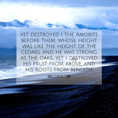Picture 07 - Amos 2:9 ASV - Yet destroyed I the Amorite before them, whose - Bible Verse Picture