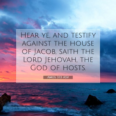 Picture 07 - Amos 3:13 ASV - Hear ye, and testify against the house of Jacob, - Bible Verse Picture