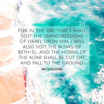 Picture 07 - Amos 3:14 ASV - For in the day that I shall visit the - Bible Verse Picture