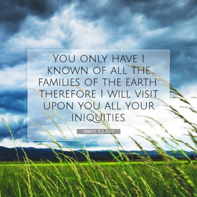 Picture 07 - Amos 3:2 ASV - You only have I known of all the families of the - Bible Verse Picture