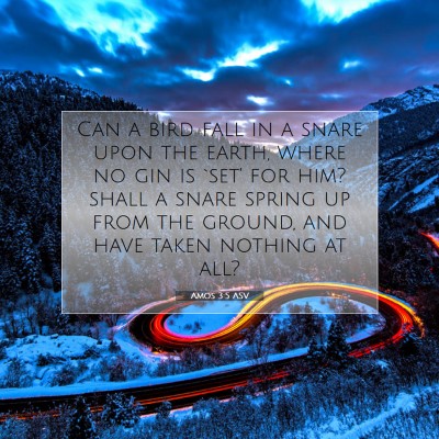 Picture 07 - Amos 3:5 ASV - Can a bird fall in a snare upon the earth, where - Bible Verse Picture