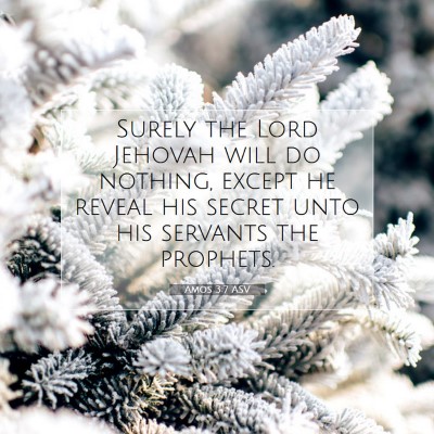 Picture 07 - Amos 3:7 ASV - Surely the Lord Jehovah will do nothing, except - Bible Verse Picture
