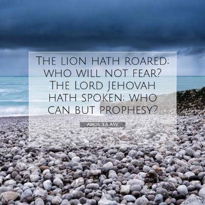 Picture 07 - Amos 3:8 ASV - The lion hath roared; who will not fear? The Lord - Bible Verse Picture
