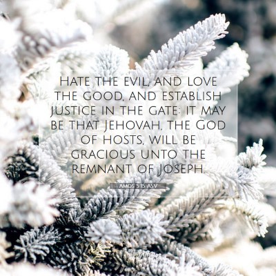 Picture 07 - Amos 5:15 ASV - Hate the evil, and love the good, and establish - Bible Verse Picture