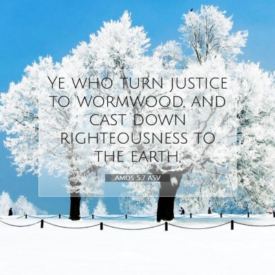 Picture 07 - Amos 5:7 ASV - Ye who turn justice to wormwood, and cast down - Bible Verse Picture