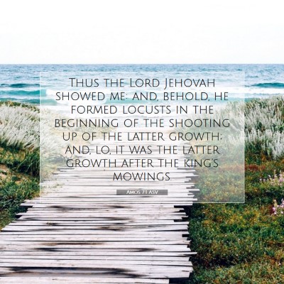Picture 07 - Amos 7:1 ASV - Thus the Lord Jehovah showed me: and, behold, he - Bible Verse Picture