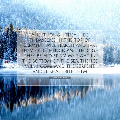 Picture 07 - Amos 9:3 ASV - And though they hide themselves in the top of - Bible Verse Picture