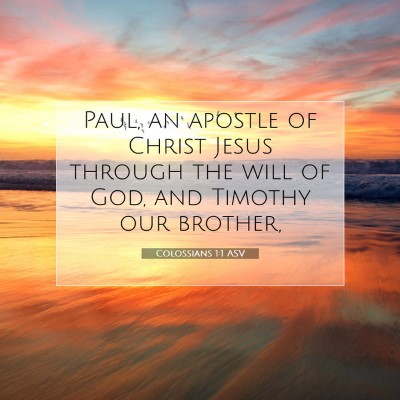 Picture 07 - Colossians 1:1 ASV - Paul, an apostle of Christ Jesus through the will - Bible Verse Picture