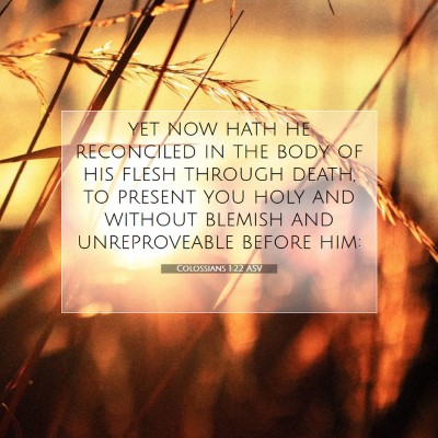 Picture 07 - Colossians 1:22 ASV - yet now hath he reconciled in the body of his - Bible Verse Picture