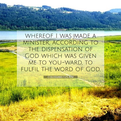 Picture 07 - Colossians 1:25 ASV - whereof I was made a minister, according to the - Bible Verse Picture