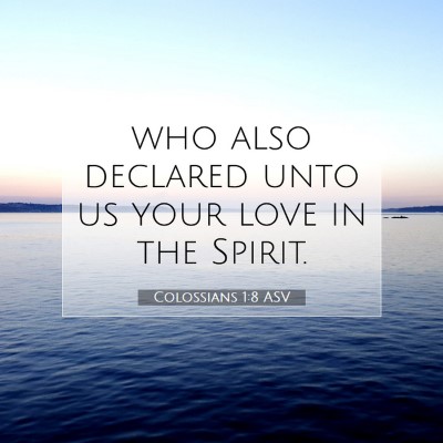 Picture 07 - Colossians 1:8 ASV - who also declared unto us your love in the - Bible Verse Picture