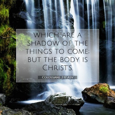 Picture 07 - Colossians 2:17 ASV - which are a shadow of the things to come; but the - Bible Verse Picture