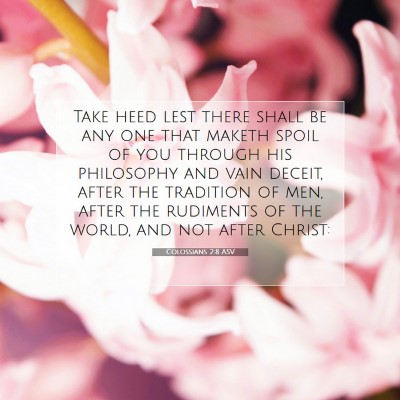 Picture 07 - Colossians 2:8 ASV - Take heed lest there shall be any one that maketh - Bible Verse Picture