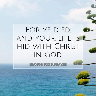 Picture 07 - Colossians 3:3 ASV - For ye died, and your life is hid with Christ in - Bible Verse Picture