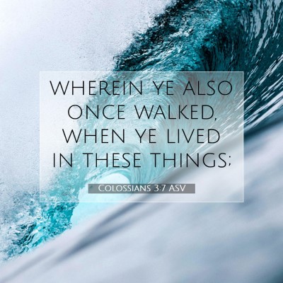 Picture 07 - Colossians 3:7 ASV - wherein ye also once walked, when ye lived in - Bible Verse Picture