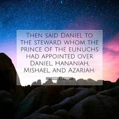 Picture 07 - Daniel 1:11 ASV - Then said Daniel to the steward whom the prince - Bible Verse Picture