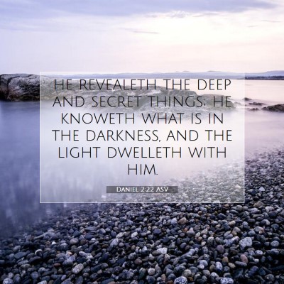 Picture 07 - Daniel 2:22 ASV - he revealeth the deep and secret things; he - Bible Verse Picture