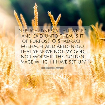 Picture 07 - Daniel 3:14 ASV - Nebuchadnezzar answered and said unto them, Is it - Bible Verse Picture