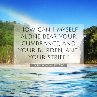 Picture 07 - Deuteronomy 1:12 ASV - How can I myself alone bear your cumbrance, and - Bible Verse Picture