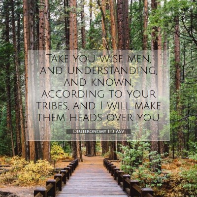 Picture 07 - Deuteronomy 1:13 ASV - Take you wise men, and understanding, and known, - Bible Verse Picture