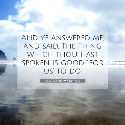 Picture 07 - Deuteronomy 1:14 ASV - And ye answered me, and said, The thing which - Bible Verse Picture