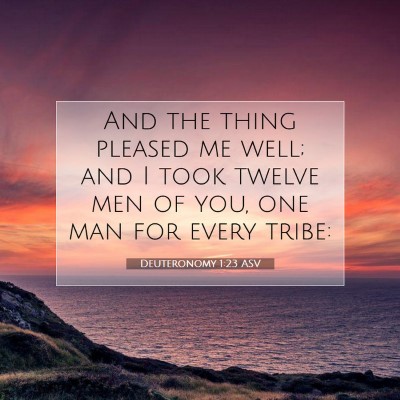 Picture 07 - Deuteronomy 1:23 ASV - And the thing pleased me well; and I took twelve - Bible Verse Picture