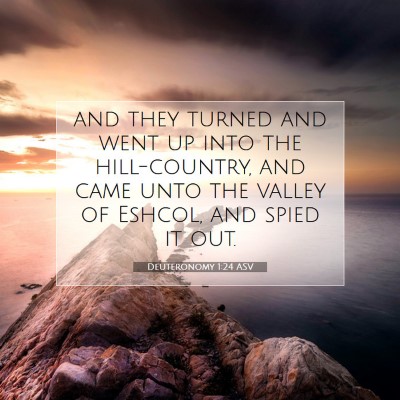 Picture 07 - Deuteronomy 1:24 ASV - and they turned and went up into the - Bible Verse Picture