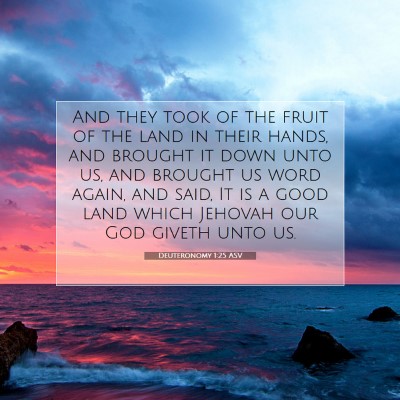 Picture 07 - Deuteronomy 1:25 ASV - And they took of the fruit of the land in their - Bible Verse Picture