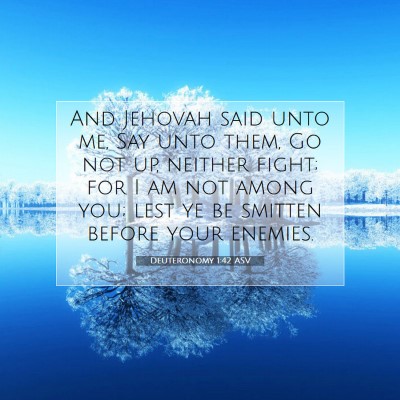 Picture 07 - Deuteronomy 1:42 ASV - And Jehovah said unto me, Say unto them, Go not - Bible Verse Picture
