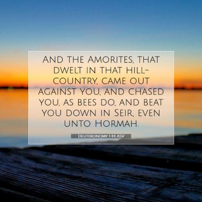Picture 07 - Deuteronomy 1:44 ASV - And the Amorites, that dwelt in that - Bible Verse Picture