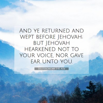 Picture 07 - Deuteronomy 1:45 ASV - And ye returned and wept before Jehovah; but - Bible Verse Picture