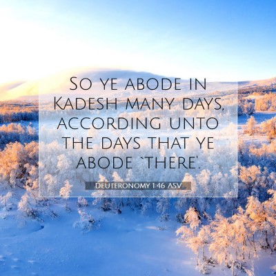 Picture 07 - Deuteronomy 1:46 ASV - So ye abode in Kadesh many days, according unto - Bible Verse Picture