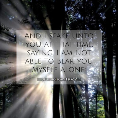 Picture 07 - Deuteronomy 1:9 ASV - And I spake unto you at that time, saying, I am - Bible Verse Picture