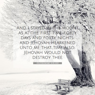 Picture 07 - Deuteronomy 10:10 ASV - And I stayed in the mount, as at the first time, - Bible Verse Picture