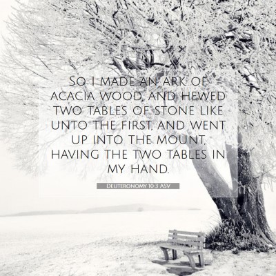Picture 07 - Deuteronomy 10:3 ASV - So I made an ark of acacia wood, and hewed two - Bible Verse Picture