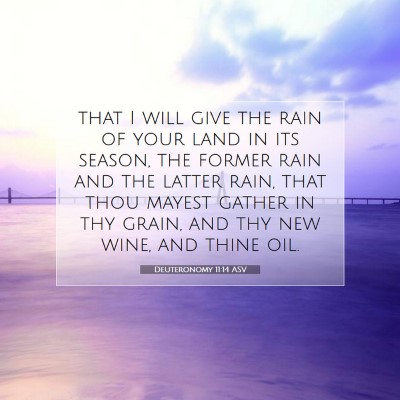 Picture 07 - Deuteronomy 11:14 ASV - that I will give the rain of your land in its - Bible Verse Picture