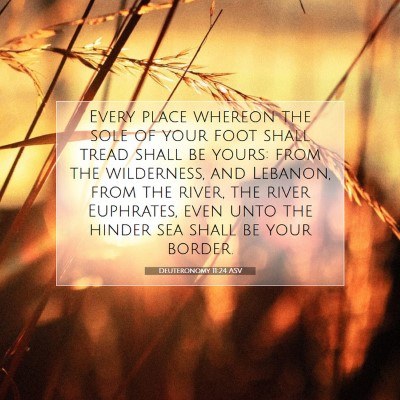 Picture 07 - Deuteronomy 11:24 ASV - Every place whereon the sole of your foot shall - Bible Verse Picture