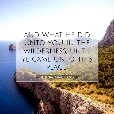 Picture 07 - Deuteronomy 11:5 ASV - and what he did unto you in the wilderness, until - Bible Verse Picture