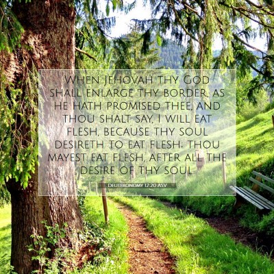 Picture 07 - Deuteronomy 12:20 ASV - When Jehovah thy God shall enlarge thy border, as - Bible Verse Picture