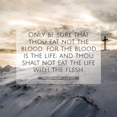 Picture 07 - Deuteronomy 12:23 ASV - Only be sure that thou eat not the blood: for the - Bible Verse Picture