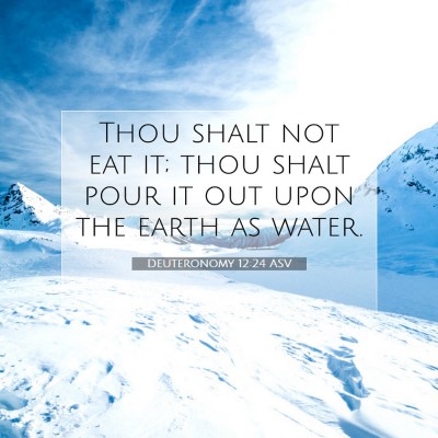 Picture 07 - Deuteronomy 12:24 ASV - Thou shalt not eat it; thou shalt pour it out - Bible Verse Picture