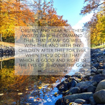 Picture 07 - Deuteronomy 12:28 ASV - Observe and hear all these words which I command - Bible Verse Picture